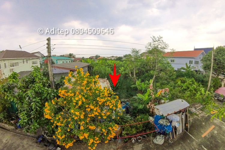  ขายที่ดินพุทธมณฑล สาย 3 ขนาด 42 ตรว. ซ.ศิริเกษม 7 เหมาะปลูกบ้าน , ภาพที่ 4