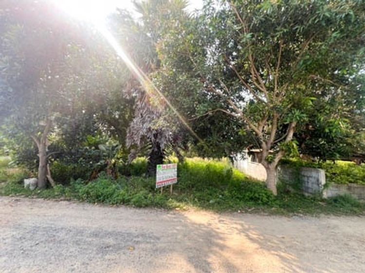 Empty land for rent, long term 10 - 20 years, near Bang Rak Beach and, ภาพที่ 4