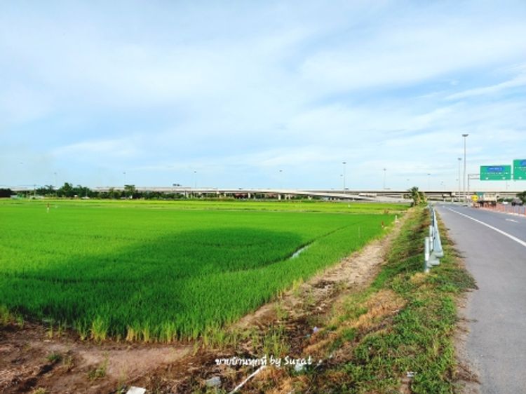 ขาย ที่ดิน 13 ไร่ ผังสีชมพู แยกไพร่ฟ้า ติดถ.ราชพฤกษ์-กาญจนาภิเษก ขาย, ภาพที่ 4