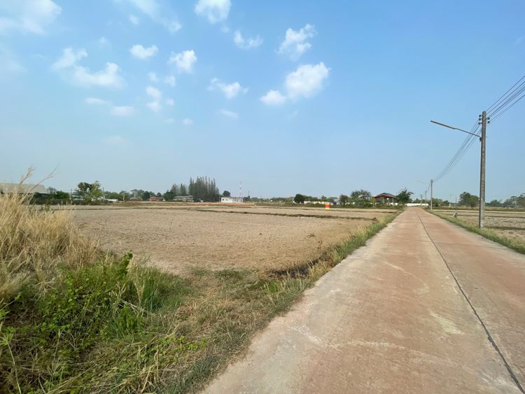 ขายที่ดิน ทำเลสวย 1ไร่ 3งาน อำเภอพังโคน จังหวัดสกลนคร, ภาพที่ 4