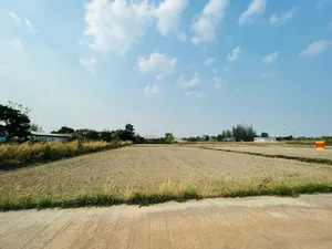 ขายที่ดิน ทำเลสวย 1ไร่ 3งาน อำเภอพังโคน จังหวัดสกลนคร