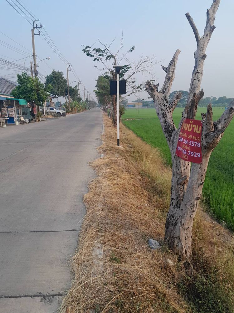 ขาย บ้าน ตำบลบางคูรัด อำเภอบางบัวทอง จังหวัดนนทบุรี, ภาพที่ 4