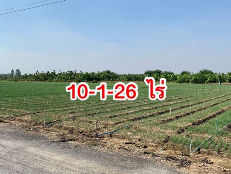 ขายที่ดินแปลงสวย10ไร่กว่า ตำบลวังศาลา อำเภอท่าม่วง จังหวัดกาญจนบุรี, ภาพที่ 4