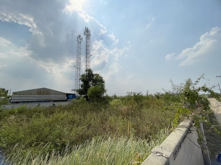 ขายที่ดิน ถ.คลองห้าตะวันตก คลองหลวง ปทุมธานี พื้นที่ 395 ตรว. ทำเลดี, ภาพที่ 4