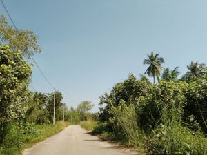 ขายที่ดินทำเลทอง   ตำบลบางชนะ อำเภอเมือง  จังหวัดสุราษฎร์ธานี