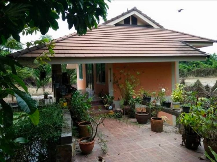 ขายที่ดินพร้อมบ้านสวน 2 หลัง อำเภอดอยสะเก็ด จังหวัดเชียงใหม่ เนื้อที่ 2, ภาพที่ 4