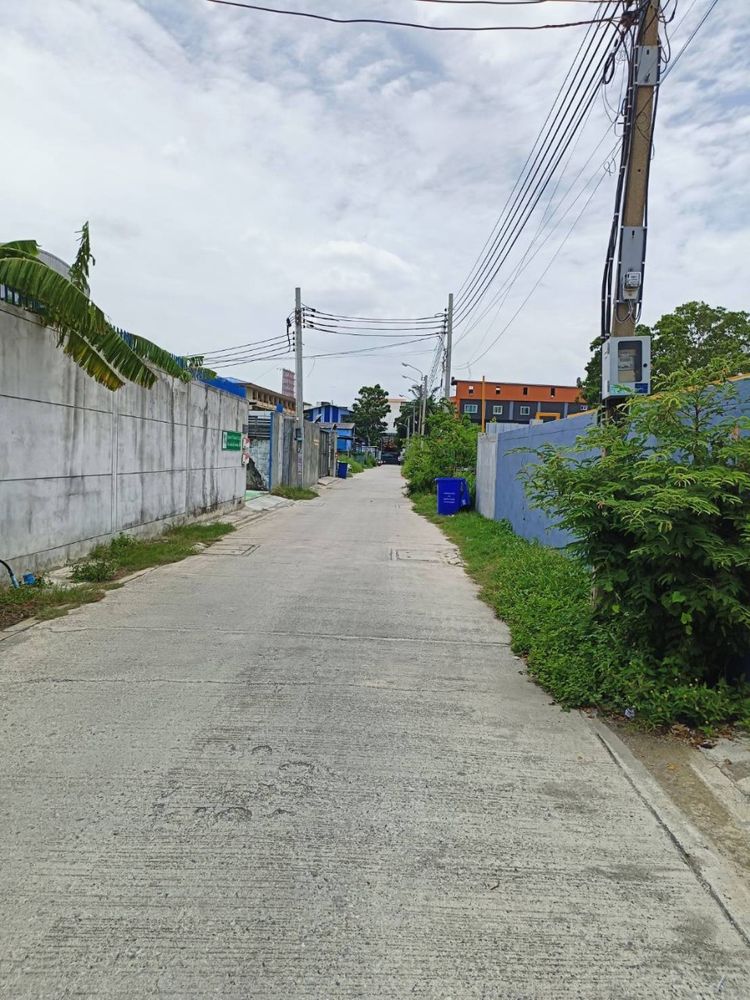 ให้เช่าที่ดินถมแล้ว 100 ตรว.ซอยศรีด่าน 3/1 จ.สมุทรปราการ, ภาพที่ 4
