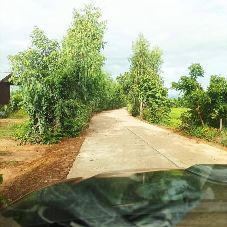 ขายด่วนที่นา สวย ทำเลดี เจ้าของขายเอง อำเภอกันทรวิชัย จังหวัดมหาสารคาม, ภาพที่ 4