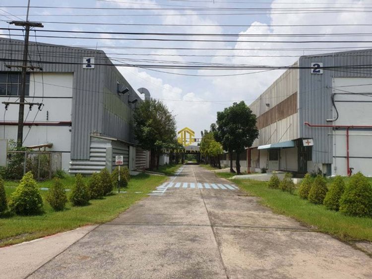 ขาย/ให้เช่าโรงงานขนาด 32340 ตรม. ใกล้ถนนสุวินทวงศ์ ฉะเชิงเทรา, ภาพที่ 4