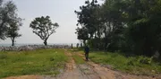 ขายและให้เช่า ที่ดิน ตำบลชะอำ อำเภอชะอำ จังหวัดเพชรบุรี