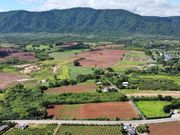 ขาย ที่ดิน เขาใหญ่ ติดถนนใหญ่ไปวังน้ำเขียว ต.หมูสี อ.ปากช่อง 2 ไร่ เห็นทิวเขา สวยสุดๆ เห็นทิวเขา สวยสุดๆ.