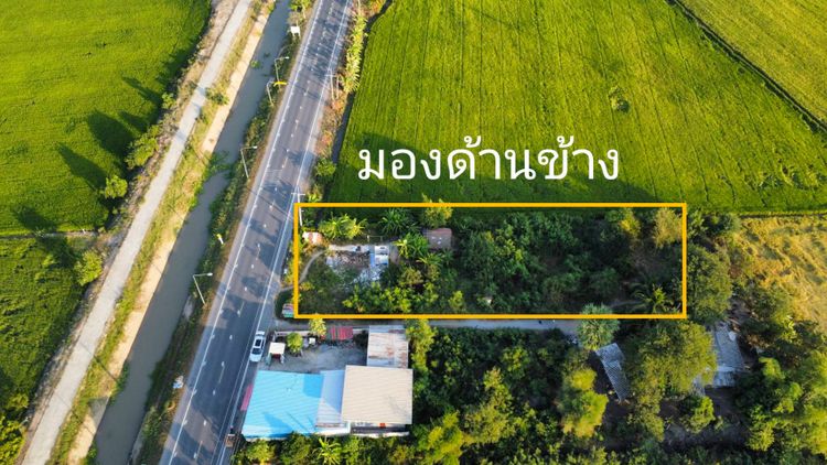 ขาย ที่ดิน ตำบลหนองแม่ไก่ อำเภอโพธิ์ทอง จังหวัดอ่างทอง, ภาพที่ 4
