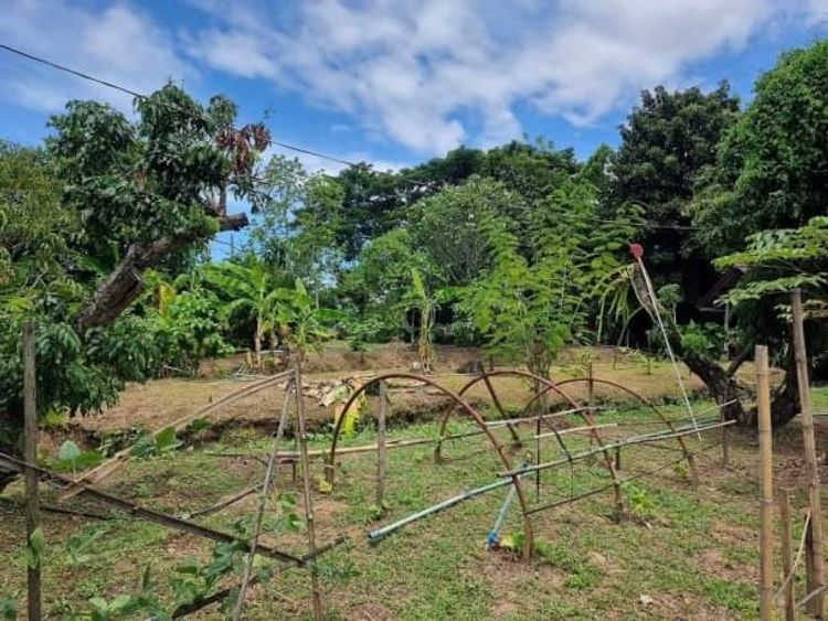 บ้านสวนติดเมือง เพียง 17.9 ล้าน 1 ไร่ 1 งาน 96 ตรว. ดอนแก้ว สารภี, ภาพที่ 4