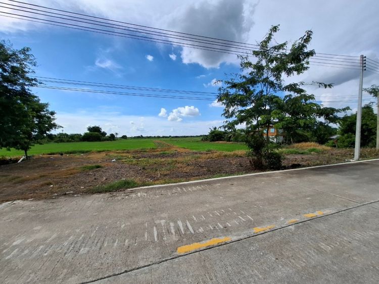ขาย ที่ดิน ซอยร่วมใจ 2 บ้านงิ้ว สามโคก 28 ไร่ 54.7 ตร.วา โรงงาน, ภาพที่ 4