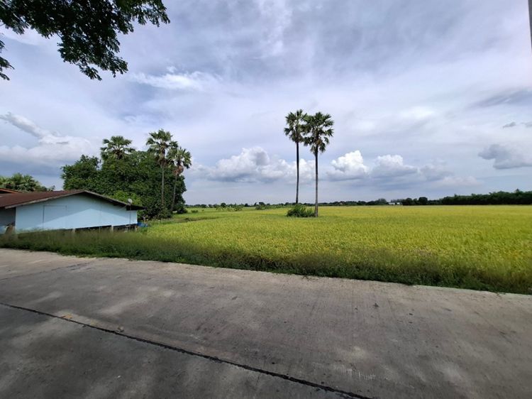 ขาย ที่ดิน ซอยร่วมใจ 2 บ้านปทุม สามโคก 9 ไร่ 2 งาน 65.7 ตร.วา เหมาะ, ภาพที่ 4