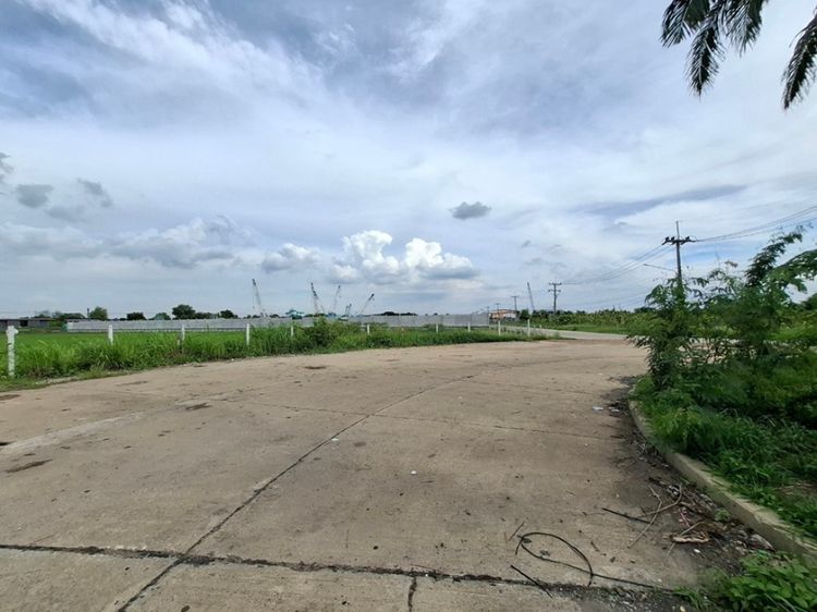 ขาย ที่ดิน ไร่บัวแก้ว บ้านปทุม สามโคก 25 ไร่ 1 งาน 39 ตร.วา รูปแปลงสวย, ภาพที่ 4