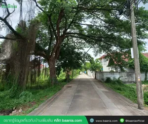 ขายที่ดินปล่าในซอยฉิมพลี 24 แขวงฉิมพลี เขตตลิ่งชัน กรุงเทพมหานคร