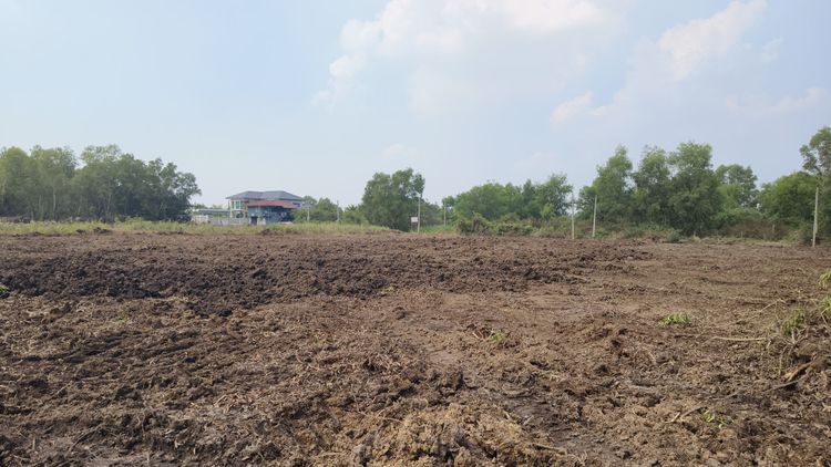 ขาย ที่ดิน - 1 ไร่ 1 งาน 87 ตรว ถมแล้วระดับสูงกว่าถนนหน้าแปลง, ภาพที่ 4