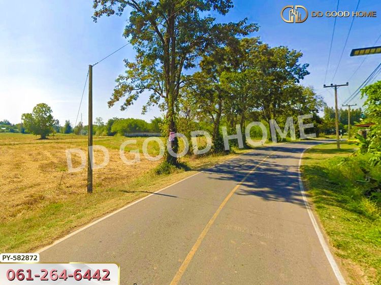 ที่ดิน ต.แสลงพันธ์ 2 ไร่ 266 ตร.ว. สุรินทร์, ภาพที่ 4