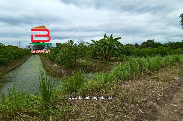 ที่ดินเปล่า หนองเสือ-คลอง 13 ซอยเกตุสิงห์ เนื้อที่ 9 ไร่ ถนนสาย ปท.3034, ภาพที่ 4