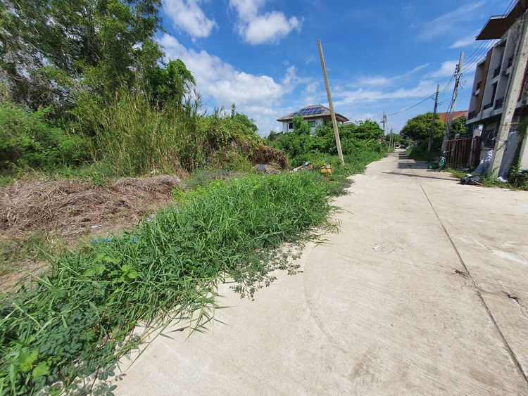 ขายที่ดินเปล่า 60 ตร.วา ถ.จันทร์ทองเอี่ยม ใกล้สถานีรถไฟฟ้าคลองบางไผ่, ภาพที่ 4