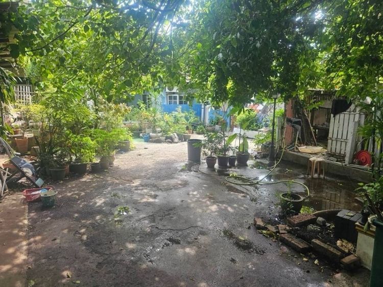 ขาย ที่ดิน บ้านไม้ 2 ชั้น 2หลัง  หลังละ 40 ตรว. ติดถนนซอยกว้าง 6 176.9, ภาพที่ 4