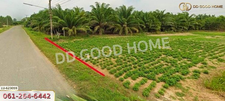 ที่ดิน บ้านโค้งประดู่เทศบาล 5 อ.เกาะจันทร์ 80 ตร.ว. ชลบุรี , ภาพที่ 4