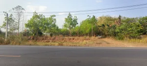 ขายที่ดิน 7ไร่ 20ตรว. ติดถนน พร้อมสวนยางพาราประมาณ 400ต้น อ.เมืองหนองบัวลำภู