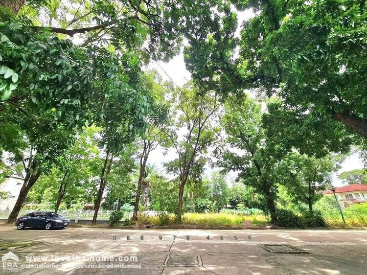 ขายที่ดิน ติดถนนรัตนาธิเบศร์ พื้นที่ 186 ตรว. ถมแล้ว สถานีบางรักใหญ่ 2, ภาพที่ 4