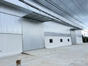 ให้เช่า โกดัง / โรงงาน ตำบลหนองบัวศาลา อำเภอเมืองนครราชสีมา จังหวัดนครราชสีมา