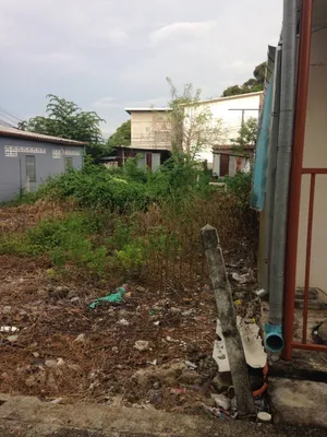 ขาย ที่ดิน ตำบลตลาดใหญ่ อำเภอเมืองภูเก็ต จังหวัดภูเก็ต