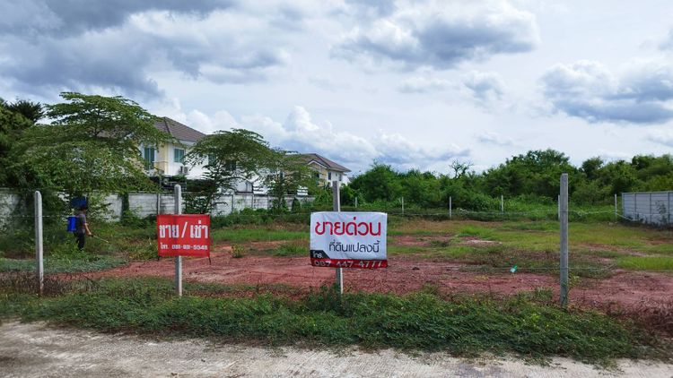 ขาย ที่ดิน แขวงแสมดำ เขตบางขุนเทียน กรุงเทพมหานคร, ภาพที่ 4