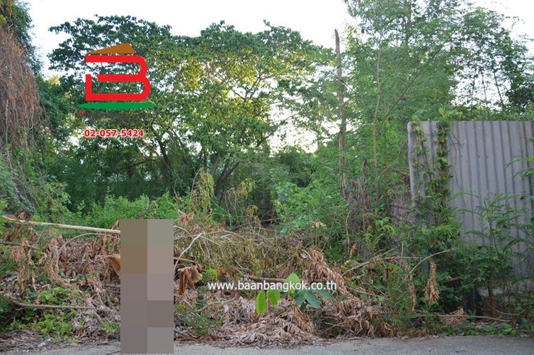 ที่ดินเปล่า ซอยสายไหม 26 เนื้อที่ 85 ตรว. ถนนสายไหม เขตสายไหม, ภาพที่ 4