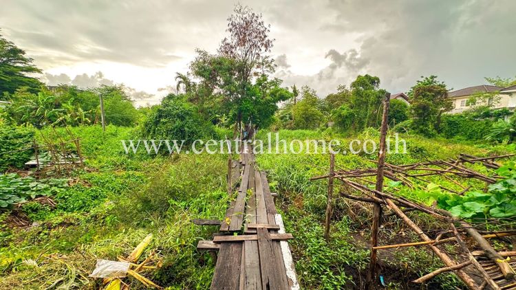 ที่ดินเปล่า 200 ตร.วา ซอยแจ้งวัฒนะ 10 - หลักสี่, ภาพที่ 4