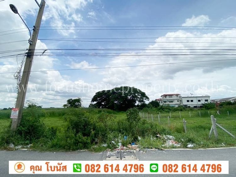ที่ดิน 50 ตร.ว ซอย หล่อพระ ถนนบางกรวย-ไทรน้อย, ภาพที่ 4
