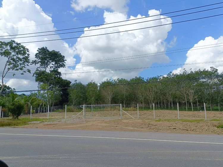 ขาย ที่ดิน ขายที่ดินแปลงสวย ลงทุนก่อนเกษียน ขายที่ดินติดถนนใหญ่พัทลุง 2, ภาพที่ 4