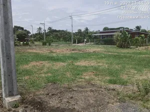ขายที่ดินคลอง12 หนองจอก มิตรไมตรี6 ถนนประชาสำราญ เหมาะสร้างบ้าน ออฟฟิศ  โกดัง