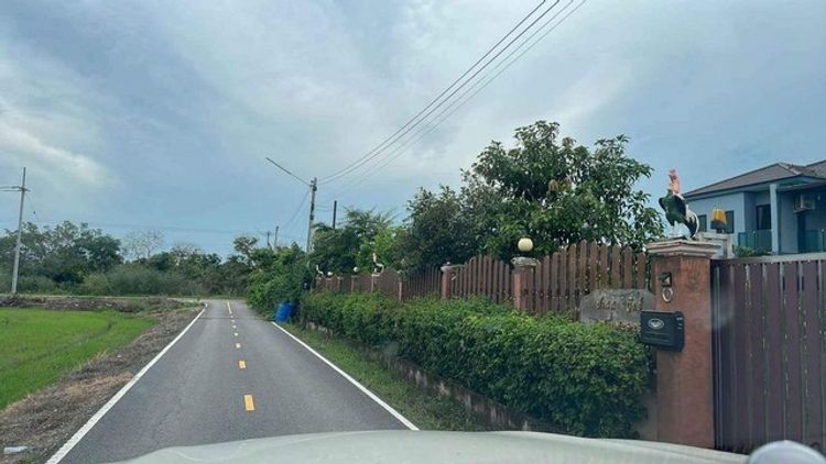 ขายที่ดินคลองห้า คลองหวง ปทุมธานี น้ำไฟพร้อม ติดถนนลาดยาง ขนาด 104 ตรว., ภาพที่ 4