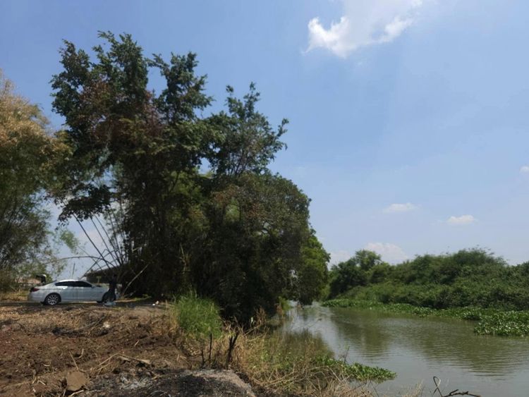 ขายที่ดินบ้านสร้างติดคลองบางหอย 388 ตรว. จ.ปราจีนบุรี, ภาพที่ 4