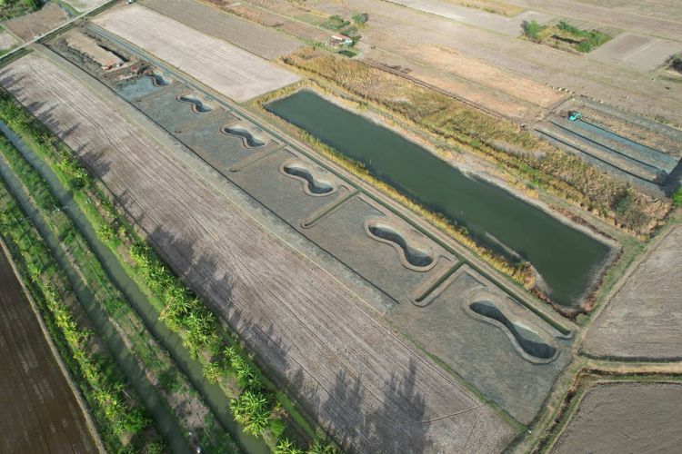 ที่ดินโคกหนองนา บรรยากาศดี สำหรับยามเกษียณ ไร่ละ 690,000 จ.เพชรบุรี, ภาพที่ 4