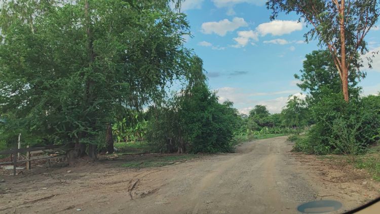 ที่ดินแปลงสวย 9ไร่ ตำบลเทวราช อำเภอไชโย จังหวัดอ่างทอง, ภาพที่ 4