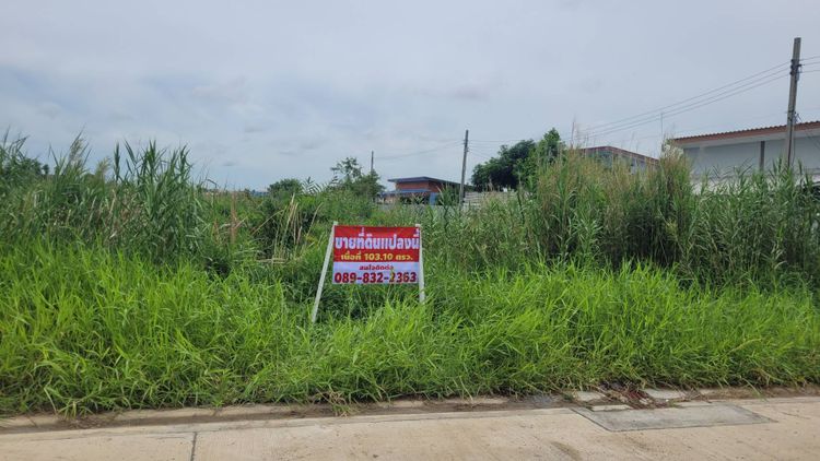 ขาย ที่ดินซอยบางกระดี๋ 24 แขวงแสมดำ เขตบางขุนเทียน กรุงเทพมหานคร, ภาพที่ 4