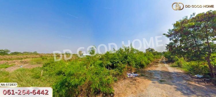 ที่ดิน อ.บางเลน 200 ตร.ว. นครปฐม, ภาพที่ 4