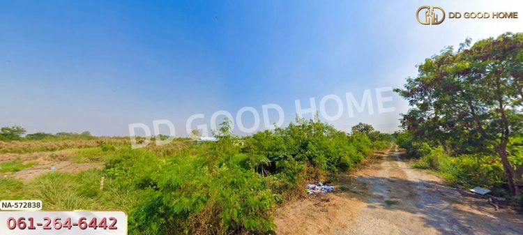 ที่ดิน อ.บางเลน 200 ตร.ว. นครปฐม, ภาพที่ 4