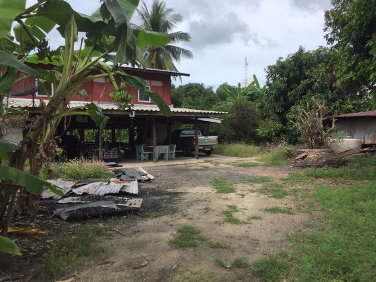 ขายบ้านพร้อมที่ดิน  เหมาะสำหรับเป็นที่ ต.เสือโฮก อ.เมือง จ.ชัยนาท, ภาพที่ 4