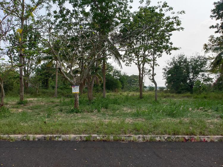 ขาย ที่ดินจัดสรร วิวภูเขา ใกล้อ่างเก็บน้ำ ตะเคียนเตี้ย, ภาพที่ 4