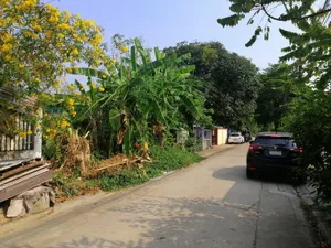 ขายถูก ที่ดิน 82 ตร.วา อยู่ถนนศิริเกษม ซอย11  ต.บางไผ่  ภาษีเจริญ กว้าง 10 เมตร ลึก 32.80 เมตร  เหมาะปลูกบ้าน ใกล้โรงเรียนอัญสัมชัญธนบุรี