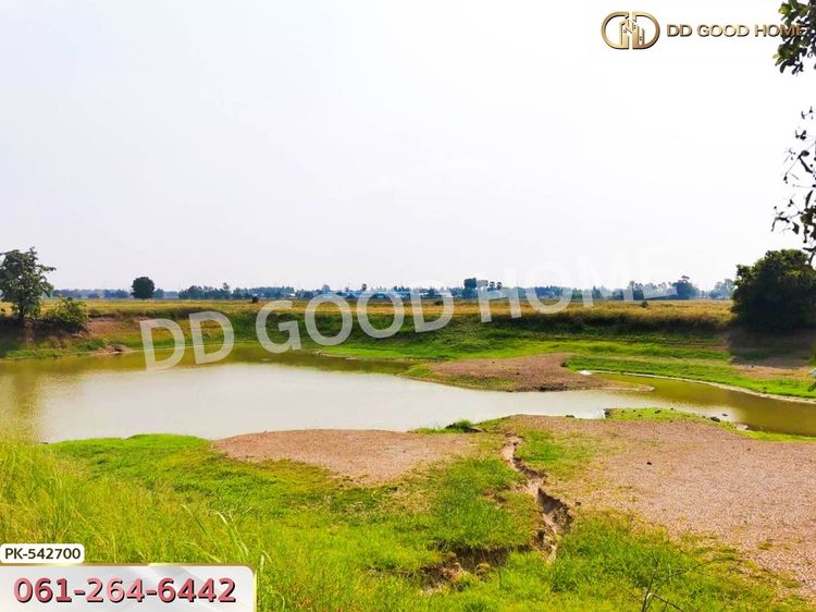 ที่ดิน อ.มโนรมย์ 98 ไร่ 334.1 ตร.ว. ชัยนาท, ภาพที่ 4