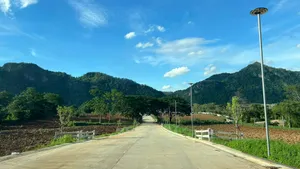 ขายที่ดินเขาใหญ่ติดน้ำ หมูสี 1ไร่ บ้านเหวปลากั้ง กุดคล้าผ่านศึก วิวเขาสวยมาก ทำเลดีมาก ใกล้ธนะรัชต์ ใกล้อุทยาน ใกล้โครงการเขาพระนอน โซนVVIP Rare Item 0879074045