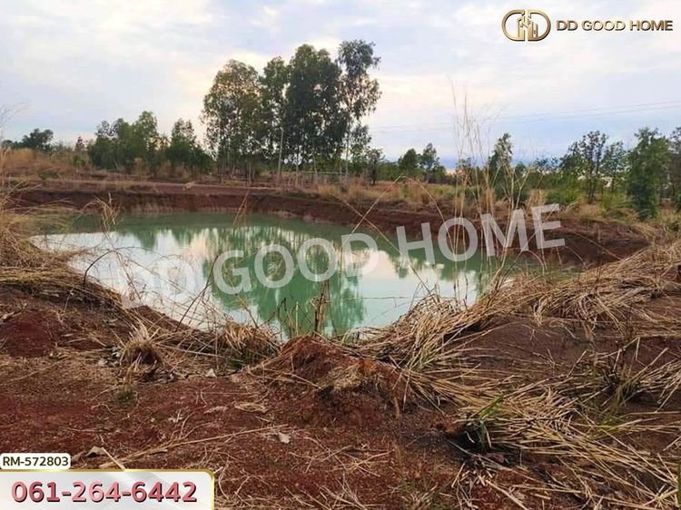 ที่ดิน อ.เจริญศิลป์ 8 ไร่ 347 ตร.ว. สกลนคร, ภาพที่ 4